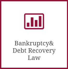 Bankruptcy&Debt Recovery Law
