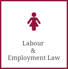 Labour&Employment Law